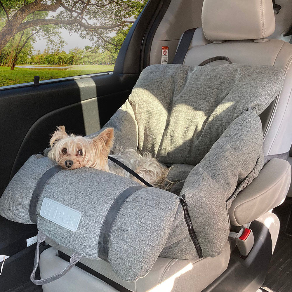 asiento de coche para perros