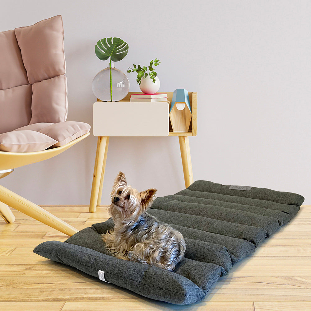 cama portátil para perro