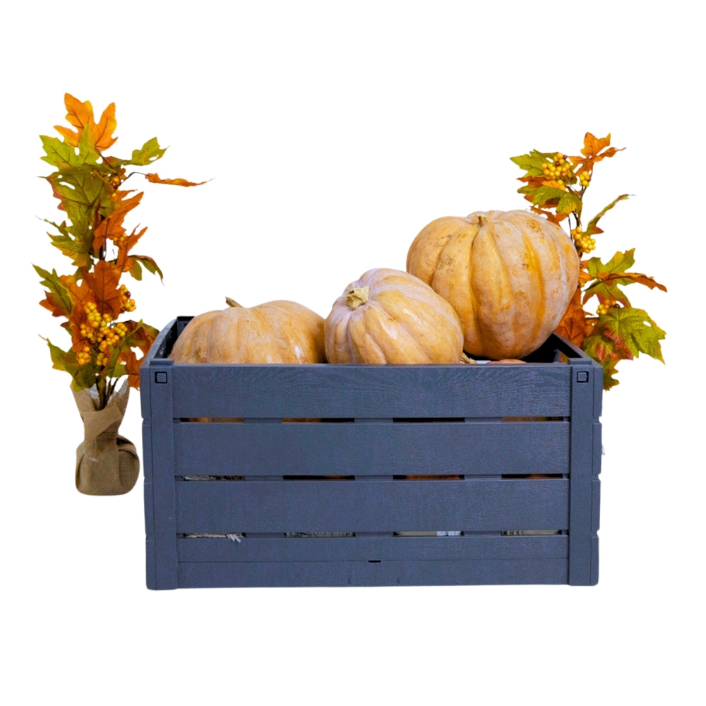 Strata Tree Box STRATA easy to assemble wood effect folding box – USA AG BOX